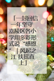 一封回信一年坚守 嘉陵区各小学用多彩形式说“感恩”｜风起之江 扶摇直上