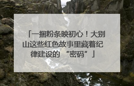 一捆粉条映初心！大别山这些红色故事里藏着纪律建设的 “密码”