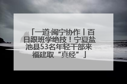 一道·闽宁协作丨百日跟班学绝技！宁夏盐池县53名年轻干部来福建取“真经”