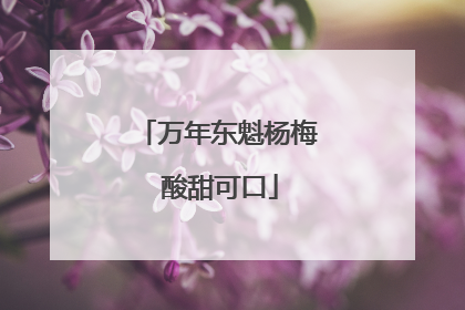 万年东魁杨梅 酸甜可口