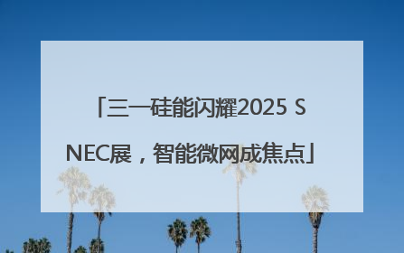 三一硅能闪耀2025 SNEC展，智能微网成焦点