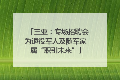 三亚：专场招聘会为退役军人及随军家属“职引未来”