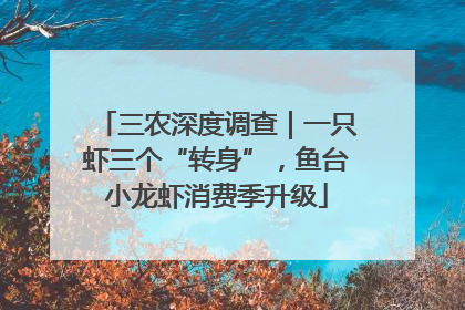 三农深度调查｜一只虾三个“转身”，鱼台小龙虾消费季升级