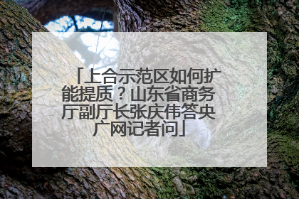 上合示范区如何扩能提质？山东省商务厅副厅长张庆伟答央广网记者问