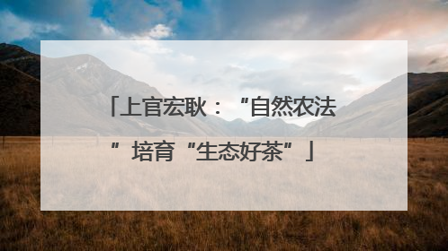 上官宏耿：“自然农法”培育“生态好茶”
