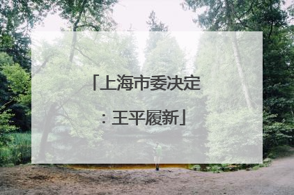 上海市委决定：王平履新