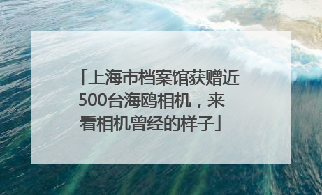 上海市档案馆获赠近500台海鸥相机，来看相机曾经的样子