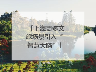 上海更多文旅场景引入“智慧大脑”