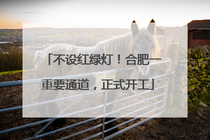 不设红绿灯！合肥一重要通道，正式开工