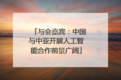 与会嘉宾：中国与中亚开展人工智能合作前景广阔
