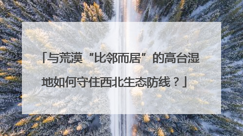 与荒漠“比邻而居”的高台湿地如何守住西北生态防线？