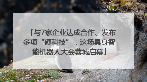与7家企业达成合作、发布多项“硬科技”，这场具身智能机器人大会蓉城启幕