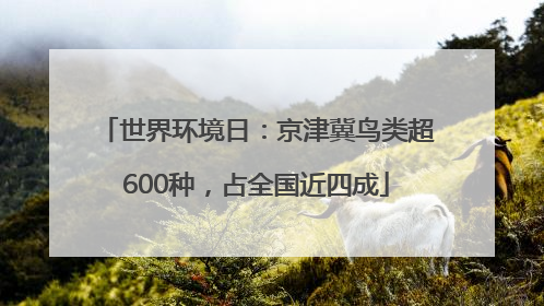 世界环境日：京津冀鸟类超600种，占全国近四成