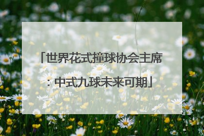 世界花式撞球协会主席：中式九球未来可期