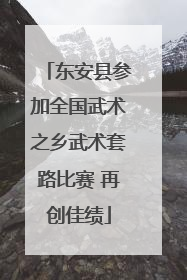 东安县参加全国武术之乡武术套路比赛 再创佳绩
