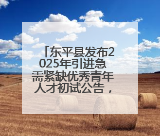 东平县发布2025年引进急需紧缺优秀青年人才初试公告，5月30日开展面谈