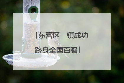 东营区一镇成功跻身全国百强