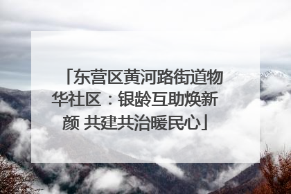 东营区黄河路街道物华社区：银龄互助焕新颜 共建共治暖民心