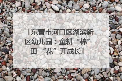 东营市河口区湖滨新区幼儿园：童耕“棉”田 “花”开成长