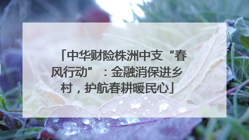 中华财险株洲中支“春风行动”：金融消保进乡村，护航春耕暖民心