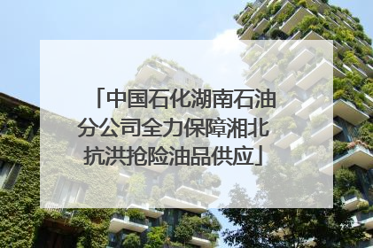 中国石化湖南石油分公司全力保障湘北抗洪抢险油品供应