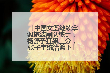 中国女篮继续拿弱旅波黑队练手，杨舒予狂飙三分，张子宇统治篮下