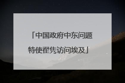 中国政府中东问题特使翟隽访问埃及