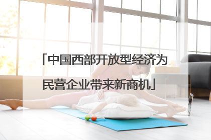 中国西部开放型经济为民营企业带来新商机