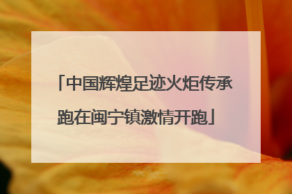 中国辉煌足迹火炬传承跑在闽宁镇激情开跑