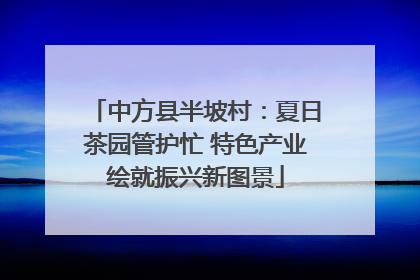 中方县半坡村：夏日茶园管护忙 特色产业绘就振兴新图景