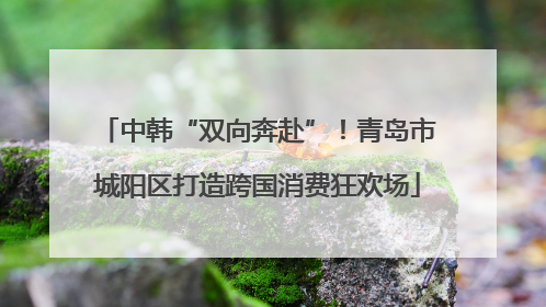 中韩“双向奔赴”！青岛市城阳区打造跨国消费狂欢场