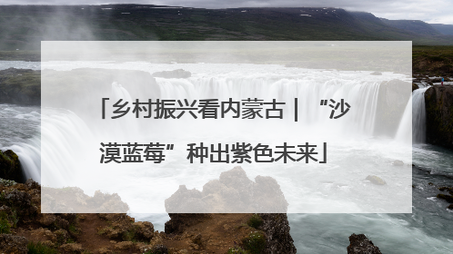 乡村振兴看内蒙古｜“沙漠蓝莓”种出紫色未来