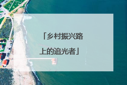乡村振兴路上的追光者