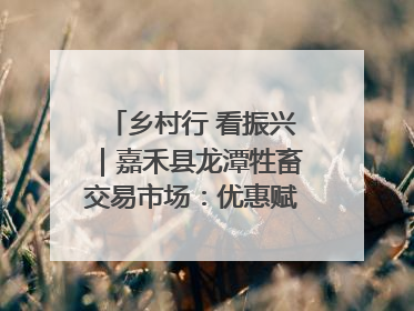 乡村行 看振兴｜嘉禾县龙潭牲畜交易市场：优惠赋能促交易 乡村振兴添动能