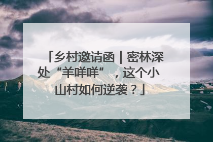 乡村邀请函｜密林深处“羊咩咩”，这个小山村如何逆袭？