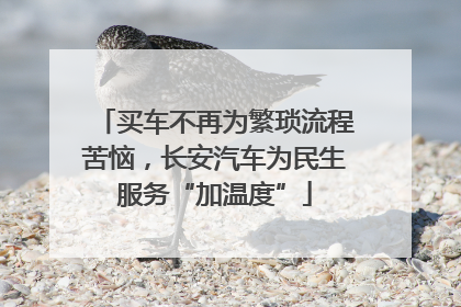 买车不再为繁琐流程苦恼，长安汽车为民生服务“加温度”