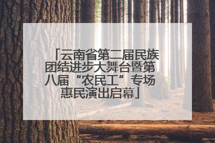 云南省第二届民族团结进步大舞台暨第八届“农民工”专场惠民演出启幕