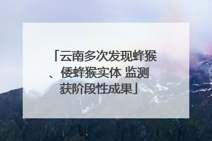 云南多次发现蜂猴、倭蜂猴实体 监测获阶段性成果