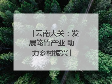 云南大关：发展筇竹产业 助力乡村振兴