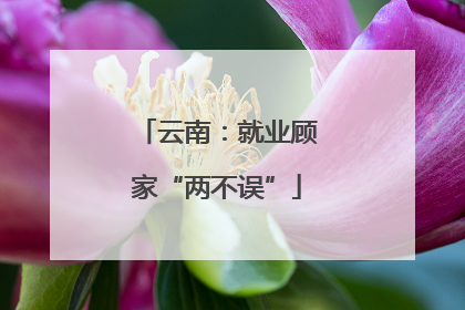 云南：就业顾家“两不误”
