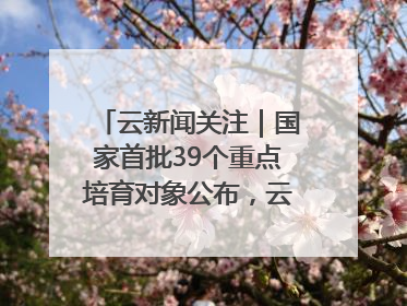 云新闻关注｜国家首批39个重点培育对象公布，云南有3个
