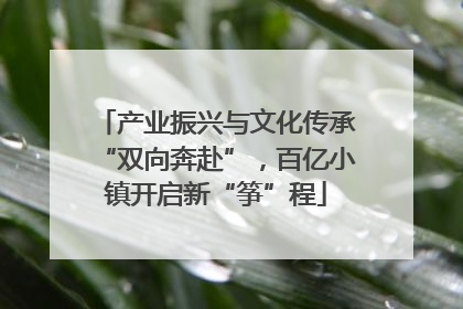 产业振兴与文化传承“双向奔赴”，百亿小镇开启新“筝”程