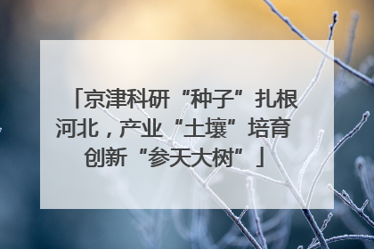 京津科研“种子”扎根河北，产业“土壤”培育创新“参天大树”