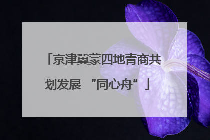 京津冀蒙四地青商共划发展 “同心舟”