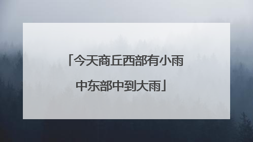今天商丘西部有小雨 中东部中到大雨