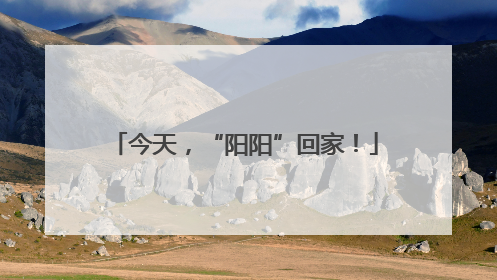 今天，“阳阳”回家！