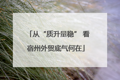 从“质升量稳” 看宿州外贸底气何在