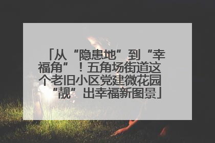 从“隐患地”到“幸福角”！五角场街道这个老旧小区党建微花园“靓”出幸福新图景