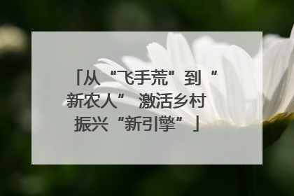 从“飞手荒”到“新农人” 激活乡村振兴“新引擎”