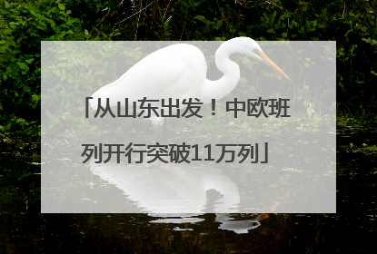 从山东出发！中欧班列开行突破11万列